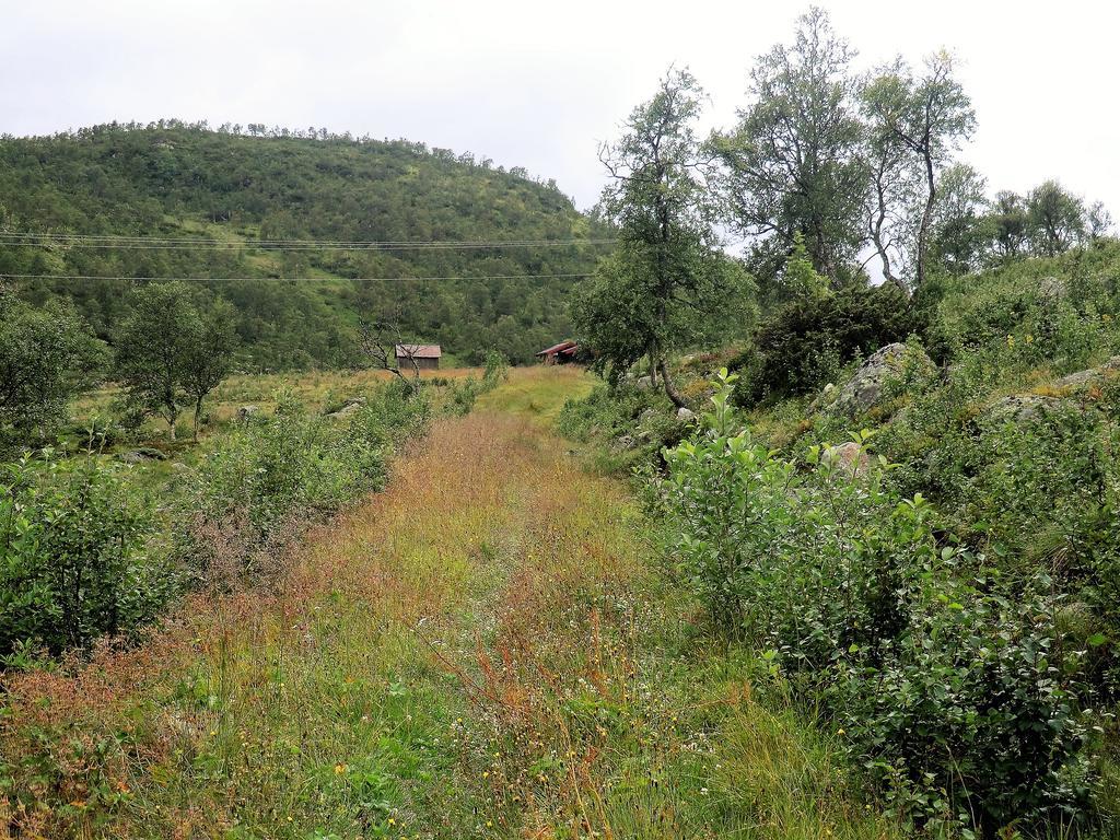 Haukeli Husky Fjellgard Villa Buitenkant foto