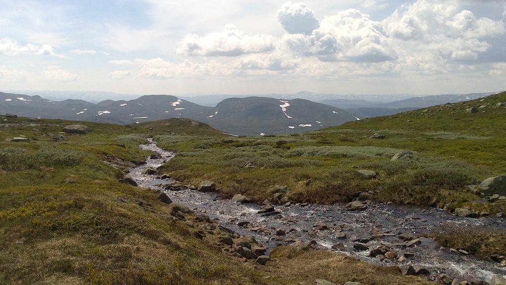 Haukeli Husky Fjellgard Villa Buitenkant foto